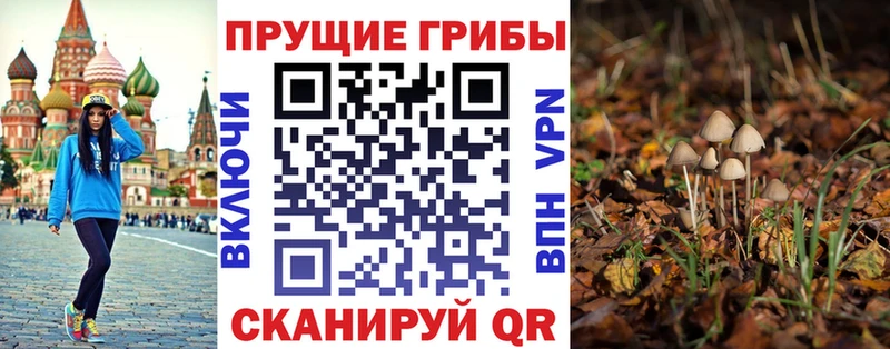 Галлюциногенные грибы Psilocybine cubensis  Губкин 